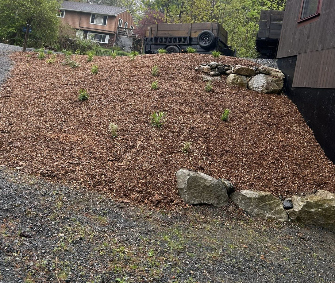 Landscape bed before weeding, with overgrowth covering plantings and bed edges.