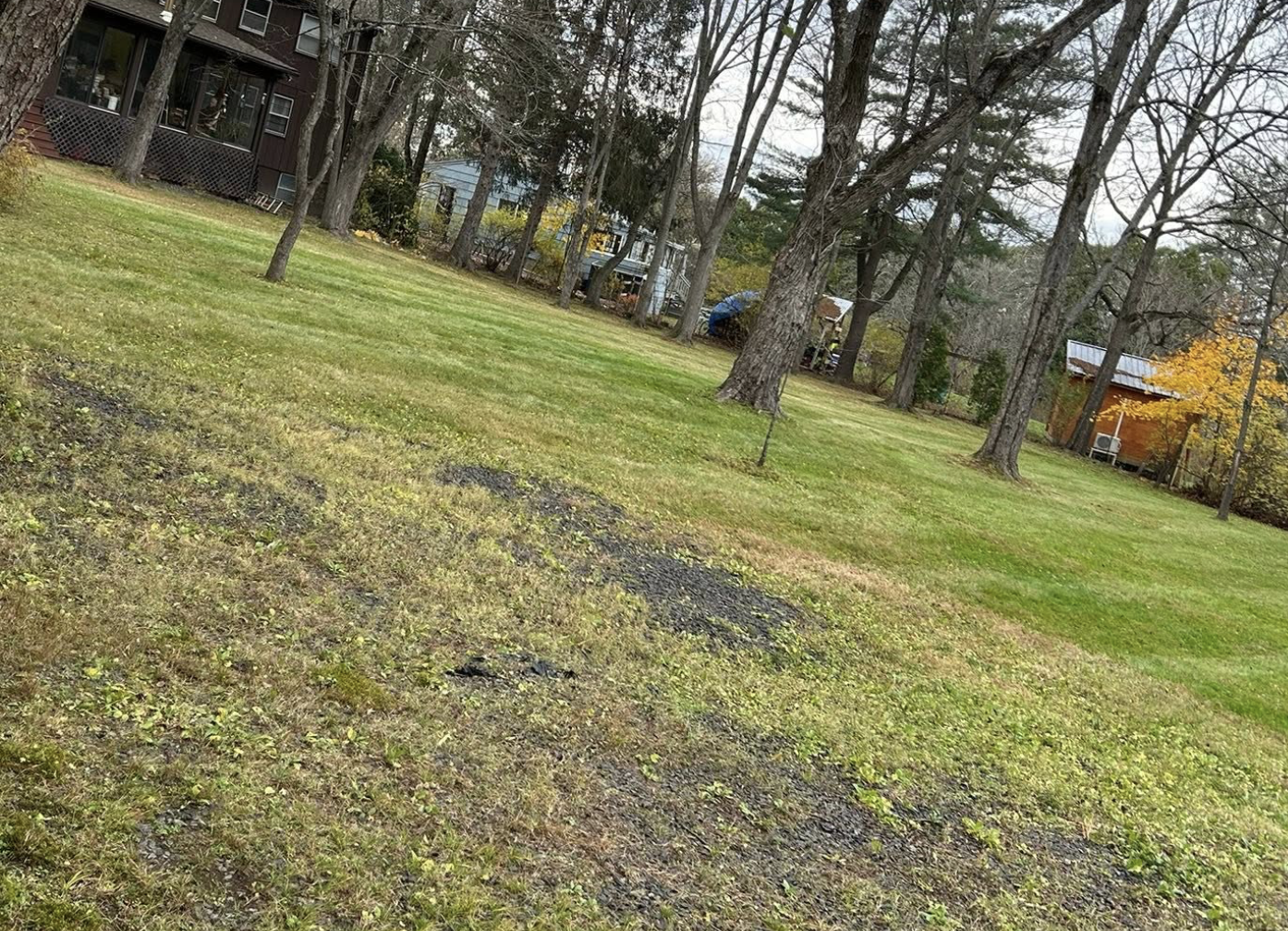 Same yard after a fall cleanup with leaves cleared and lawn visible.