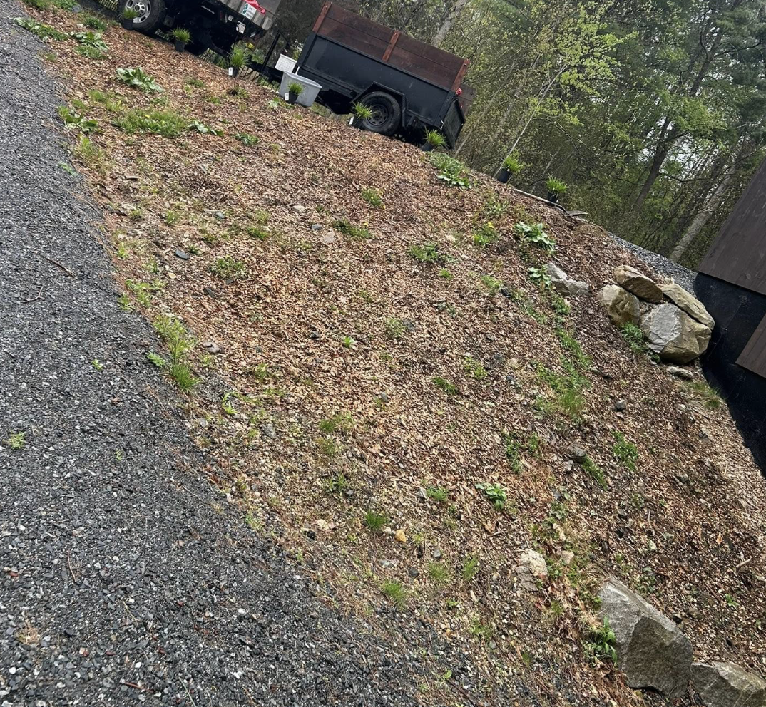 Landscape bed after weeding, with clean soil, defined edges, and plantings visible.